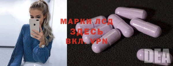 индика Арсеньев