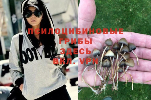 спиды Аркадак