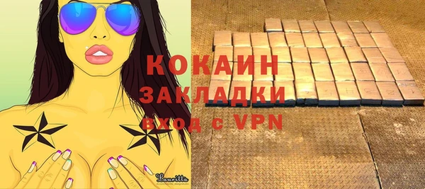 индика Арсеньев