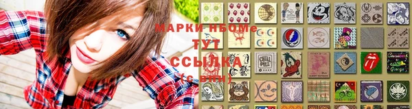 индика Арсеньев