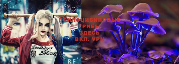 спиды Аркадак
